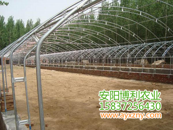 養(yǎng)殖大棚24