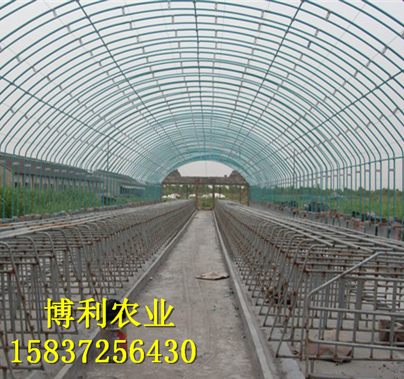 大棚蔬菜種植常見(jiàn)問(wèn)題詳解！